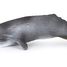 Humpback whale figure PA56021 Papo 1