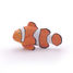 Clown fish figurine PA56023-3966 Papo 3