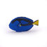 Surgeon fish PA56024-5296 Papo 5