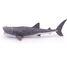 Whale Shark Figurine PA56039 Papo 5