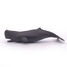 Baby sperm whale figure PA56045 Papo 5