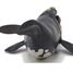Figurine young right whale PA-56057 Papo 3