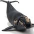 Figurine young right whale PA-56057 Papo 2
