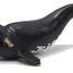 Figurine young right whale PA-56057 Papo 1