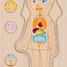 Human body puzzle, girl GK57362 Goki 4