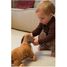 Edward pull-along EG591038 Egmont Toys 10