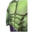 Hulk deluxe child costume 3-4 years R640839-T34 Rubies 2