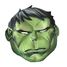 Hulk deluxe child costume 7-8 years R640839-T78 Rubies 3