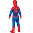 Spider-man child costume 5-6 years R702072FR-T56 Rubies 4