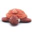 Plush Ptipotos tortoise mom baby terracotta DE73502 Les Déglingos 5