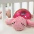 Tranquil Turtle - Pink CloudB-7423-PK Cloud b 3