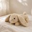 Dream Buddies Bunny Cloudb-7472-BBN Cloud b 2