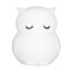 Little Owl Night Light UL-8114 Ulysse 1