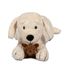 Plush dog with puppies As-84627 ByAstrup 6