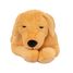 Weighted dog plush 2,2 kg As-84680 ByAstrup 2