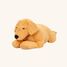 Weighted dog plush 2,2 kg As-84680 ByAstrup 5