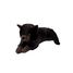 Weighted cat plush 1,2 kg As-84684 ByAstrup 1