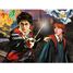 Puzzle Harry Potter and Ron Weasley 150 pcs N86194 Nathan 3
