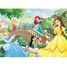 Puzzle Disney Princesses 60 pcs N86567 Nathan 2