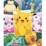 Puzzle Types of Pokemon 250 pcs N868827 Nathan 2