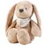 Night Light Cuddly Rabbit Sleepy - beige NA876582 Nattou 1