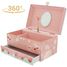 Music Box Dragonfly UL9506 Ulysse 1
