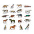 Buffon zoological magnets V9622 Vilac 3