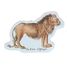 Buffon zoological magnets V9622 Vilac 6