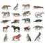Buffon zoological magnets V9622 Vilac 3