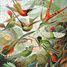 The HAECKEL Hummingbirds WA539-500 Puzzle Michele Wilson 3