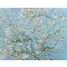 Almond Blossom by Van Gogh A610-80 Puzzle Michele Wilson 3