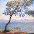 Cap d'Antibes by Monet A743-80 Puzzle Michele Wilson 2