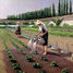 The Gardeners by Caillebotte A881-650 Puzzle Michele Wilson 2