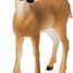 White-tailed doe SC-14819 Schleich 5