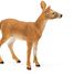 White-tailed doe SC-14819 Schleich 4