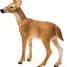 White-tailed doe SC-14819 Schleich 2