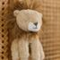 Safari Friends Lion Music Box LD8330 Little Dutch 5