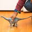 Brontosaurus SC-15027 Schleich 4