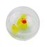 Water ball Duck Family B38001 Bass & Bass 2