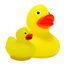 Water ball Duck Family B38001 Bass & Bass 4