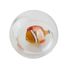 Water ball Clownfish B38012 Bass & Bass 4