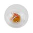 Water ball Clownfish B38012 Bass & Bass 6