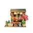 Mini Book Nook Zen Garden CT106 Cartartem 1