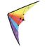 Delta kite with double handle V02947-4252 Vilac 2