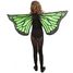 Green butterfly wings CHAKS-C4366 Chaks 2