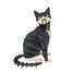 3D Paper model - Black and white cat FRI-11759 Fridolin 1
