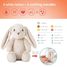LoveLight Buddies Billy Bunny Cloudb-7703-BB Cloud b 10