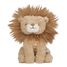Giftbox Safari Friends LD8315 Little Dutch 6
