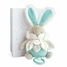 Musical box Lapin de sucre - rabbit water green DC3493 Doudou et Compagnie 1