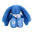 Blue Fleurette Rabbit Plush 25 cm DC4299 Doudou et Compagnie 1